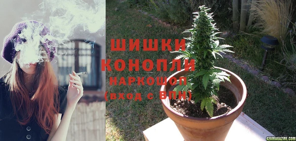 шишки Остров