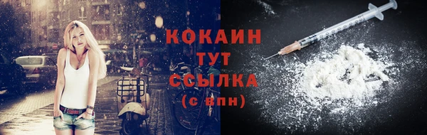 шишки Остров