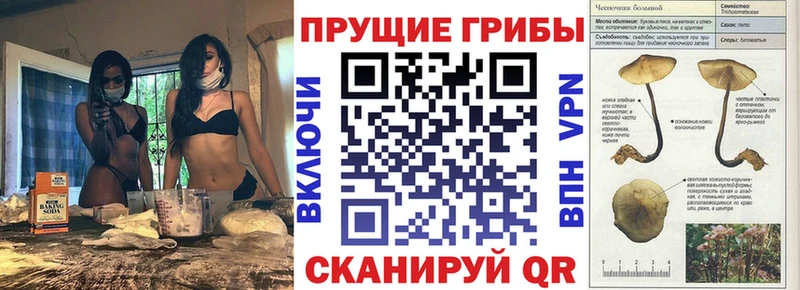 Псилоцибиновые грибы мухоморы  Берёзовский 